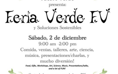 Sustainable Solutions Fair