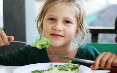 Comedor balanceado y sano