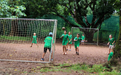 When Do We Get our Multi-use Sports Court?