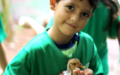 Conociendo a nuestros donadores