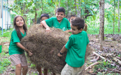 Futuro Verde is turning into a Permaculture Campus!