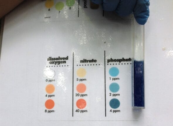 IMG_9992..-e1506025958899