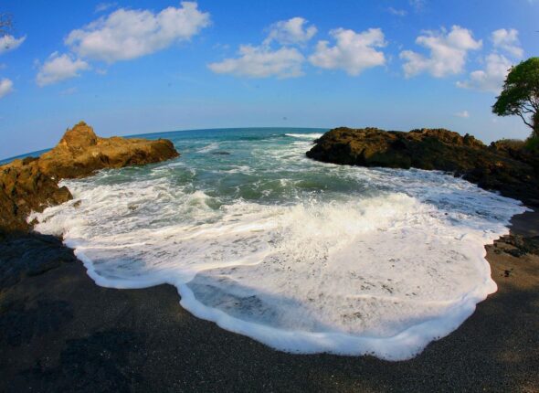 Ocean