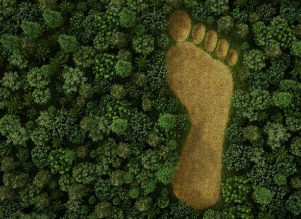 huella-ecologica-portada